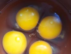 Инкубационное яйцо куриное, крупных пород