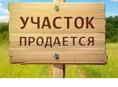 8 сотек