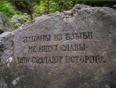 Куплю стартовый пистолет 