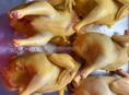 КУРЫ КУРЫ 