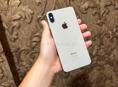 Xs max 