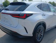 Lexus