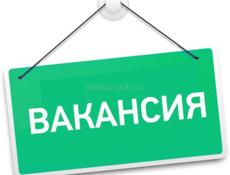 Требуются работники на откачку меда ( 2 человека)❗️