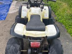 ATV
