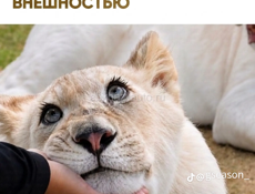 В поисках работы в сфере общепита!