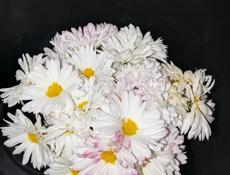 Продаю ровлушку есть пучки и вески чена зависит от длины на вясок а на пучки от толщины