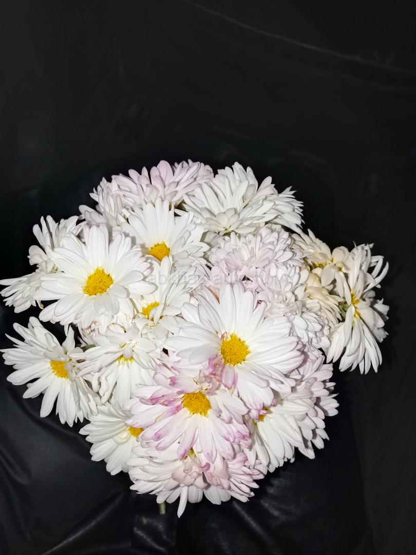 Продаю ровлушку есть пучки и вески чена зависит от длины на вясок а на пучки от толщины