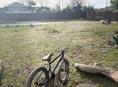 Bmx