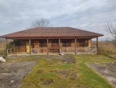 Продается Пацха