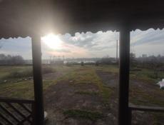 Продается Пацха