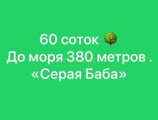 Участок 60 соток 