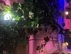 ЖИЛОЙ ДОМ НА МАЯКЕ 