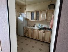 Массив гумиста