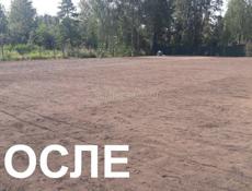 Чистка участков