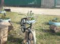 Bmx 