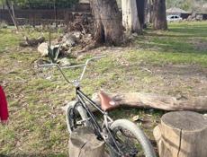 Bmx 