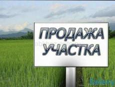20 соток Ачадара 