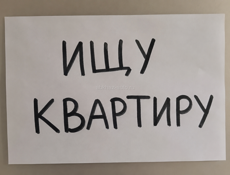 Ищу квартиру 