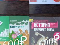 Учебники 
