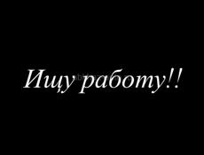 СРОЧНО ищу работу 