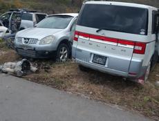 Mitsubishi Grandis