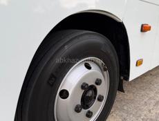 Ikarus