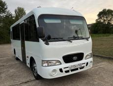 Ikarus