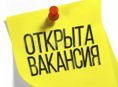 Требуется шашлычник и повар.