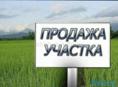 20 соток Ачадара 