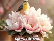 Куплю полуавтамат или старого образца стиралку только не автамат 