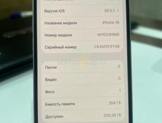iPhone 16