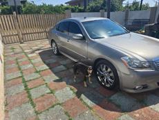 Infiniti G35