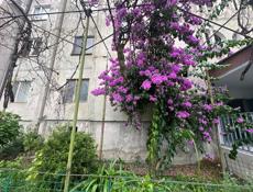 Продам 3х комн.кв. (100кв м) Агудзера