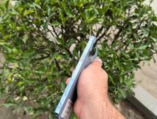 iPhone 13 Pro Max 128 blue 