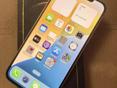 iphone 12 pro max 256 gb