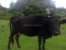 Продаю 