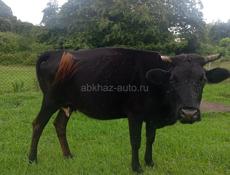 Продаю