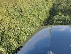 СЕНО первый покос!!!!!