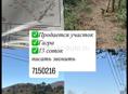 срочно ‼️ 
