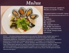 МИДИИ и УСТРИЦЫ СВЕЖИЕ С ЧЕРНОГО МОРЯ
