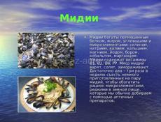 МИДИИ и УСТРИЦЫ СВЕЖИЕ С ЧЕРНОГО МОРЯ