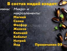МИДИИ и УСТРИЦЫ СВЕЖИЕ С ЧЕРНОГО МОРЯ