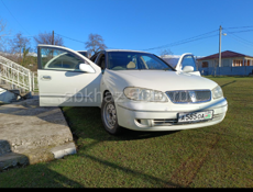 Nissan Bluebird