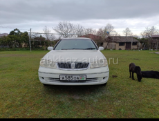 Nissan Bluebird