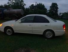 Nissan Bluebird