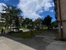 Две квартиры в центре 