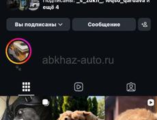 Онлайн магазин щенков  