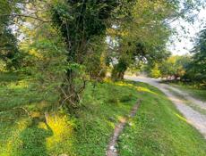 Участок 50 соток 