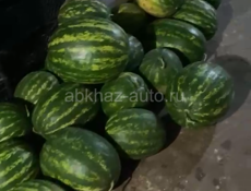 Арбузы местные 