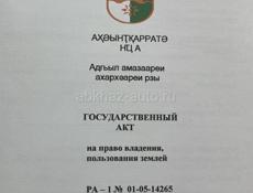 Цитрусовый 24 сотки